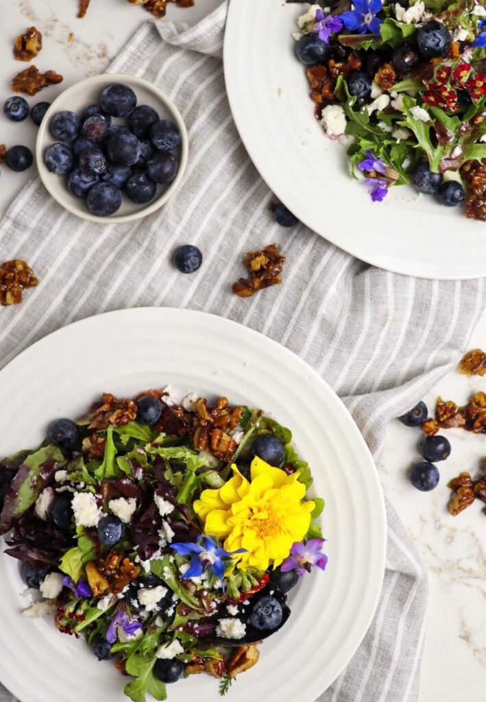 Two plates of blueberry salad