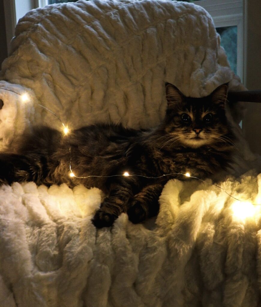 hygge living