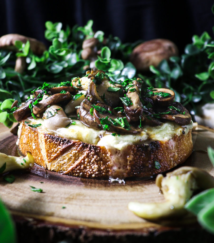 Second breakfast wild mushrooms on cheese toast