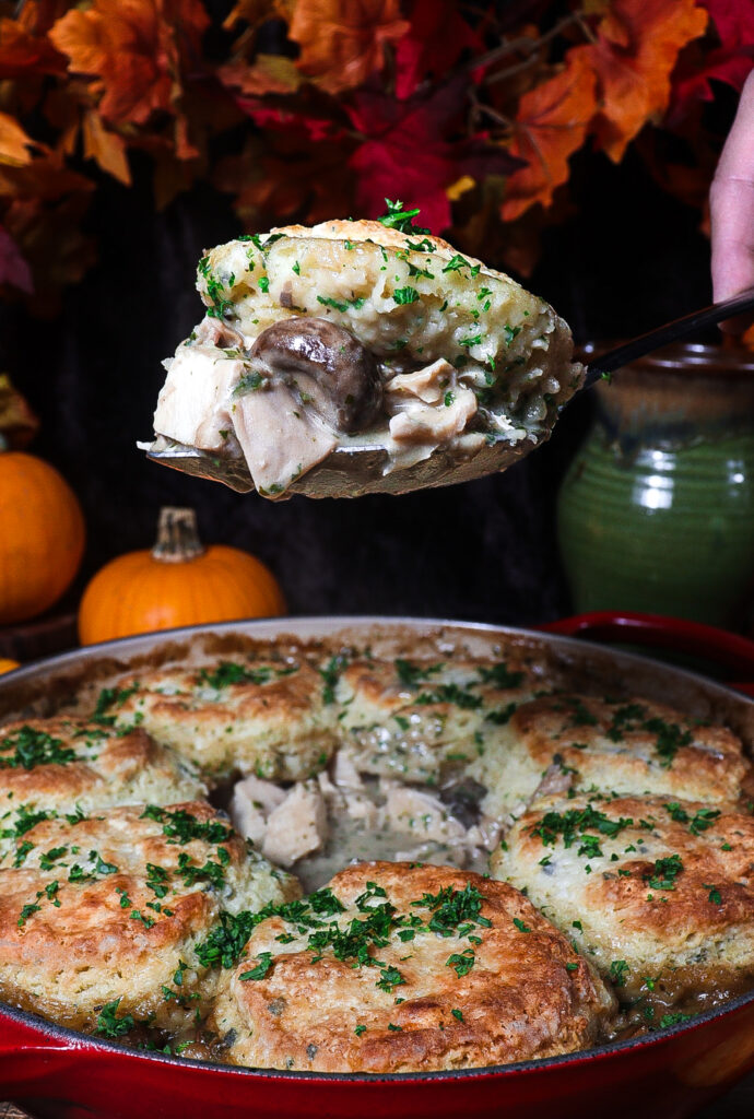 chicken and mushroom pot pie, chicken pot pie with biscuits