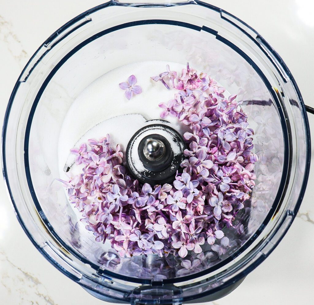 lilac recipes