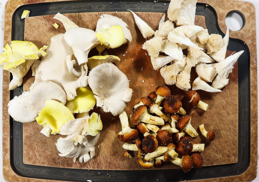 wild mushroom tart, rustic mushroom tart